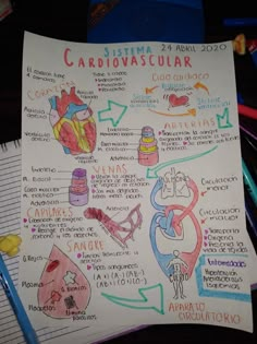 a hand drawn diagram on top of a piece of paper next to some pens and pencils