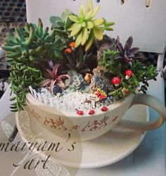 a bowl filled with plants sitting on top of a table