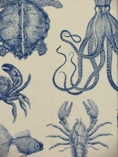 an open book with drawings of sea animals and octopuses in blue ink on white paper