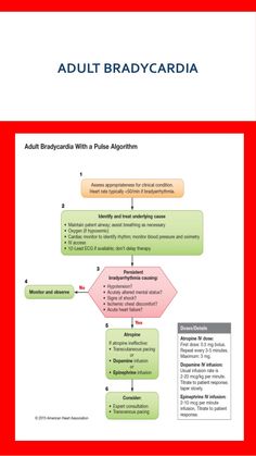 AHA 2015 Algorithms for BLS, ACLS PALS Paramedic Science, Nursing Terminology, Anatomy Studying, Cpr Instructions, Acls Algorithm, Nursing Pharmacology, Nursing Flashcards, Cranial Nerves Mnemonic