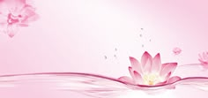 pink flowers floating in the water with bubbles