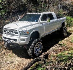 a white truck is parked on the side of a hill in front of some trees