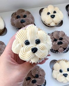 a hand holding a cupcake with white frosting and brown icing on it