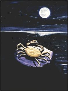 a painting of a crab sitting on top of a rock in the ocean at night