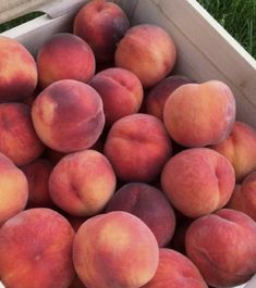 a box full of peaches sitting on the ground in the grass with one piece missing