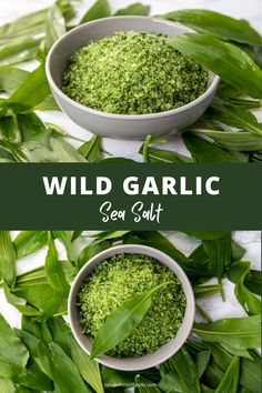 Wild garlic sea salt Ramp Salt Recipe, Garlic Flowers Recipe, Wild Leeks Recipes, Forage Recipes, Herb Salt Recipe, Sea Salt Recipes, Wild Onions, Wild Foraging