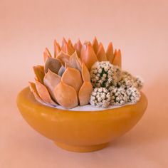 A ginger orange brown ceramic bowl planter. Cactus Arrangement, Sweets Gift, Indoor Outdoor Planter, Outdoor Planters, Beauty Wellness, The Shade, Small Plants, Art Furniture, Floral Arrangement