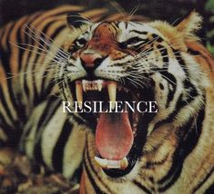 a tiger with it's mouth open and the words resilince in front of it