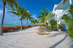 the beach is lined with lounge chairs and palm trees