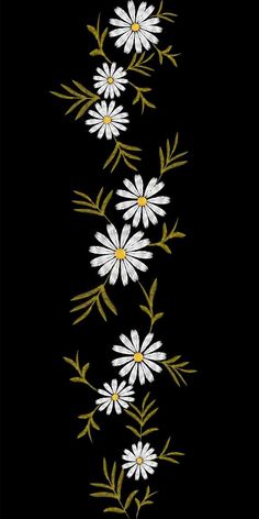 white daisies with green leaves on a black background