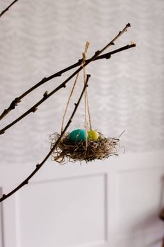 a bird nest with two eggs hanging from it