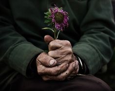 an old person holding a flower in their hands with the other hand on his lap