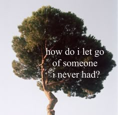 a tree with the words how do i let go of someone i never had?