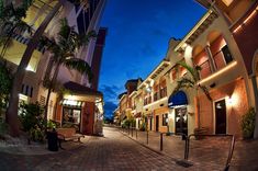 an empty street at night with palm trees in the foreground and buildings on either side