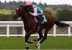 a jockey riding on the back of a brown horse