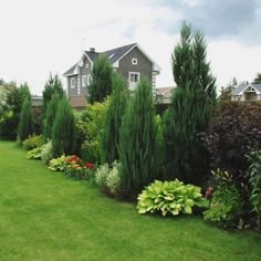 a lush green yard with lots of flowers and trees in the front lawn, next to a house