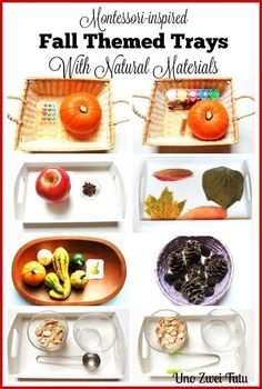 an assortment of fall themed trays with natural materials for kids to make and eat