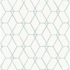 Order 2889-25251 Plain Simple Useful Osterlen Teal Trellis Teal A-Street Prints Wallpaper Blue Trellis Wallpaper, Quatrefoil Wallpaper, Mid Century Modern Wallpaper, Paper Collective, Brewster Wallpaper, Wallpaper Warehouse, A Street Prints, Trellis Wallpaper, Leather Designs