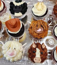 cupcakes decorated with farm animals and hats on display in a plastic tray together