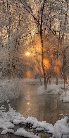 an image of the sun setting over a river with snow and trees in the background