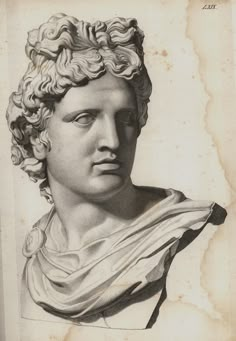 an old drawing of a bust of a man with curls on his head and shoulders