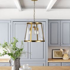 a kitchen with blue cabinets and an island in front of the countertop, has a potted plant on it