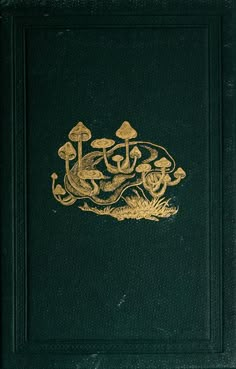 an old book with gold designs on it