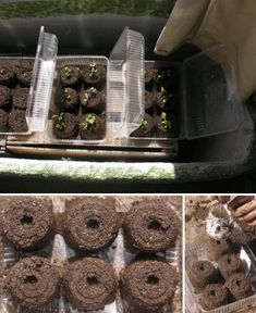 there are several pictures of plants growing in the ground and on top of donuts