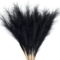 a bunch of black feathers in a vase