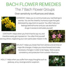 the benefits of flower remedies for your body and mind - info poster on how to use them