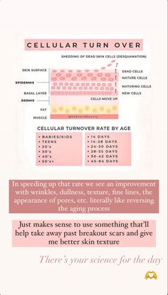 Skin Cell Turnover, Skin Turnover Cycle, Esthetician Tips Facts Skin Care, Esthetician State Board Exam, Esthetician Study Guide, Medical Esthetics