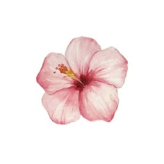 Pink Beach Widget, Pink Hibiscus Flower Aesthetic, Pink Hibiscus Wallpaper, Hibiscus Aesthetic, Aesthetic Hibiscus, Widget Pink, Pink Flower Wallpaper, Wallpapers Rosa, Beach Core