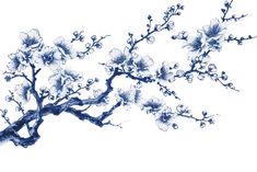 an ink drawing of a tree with flowers on it's branches in blue and white