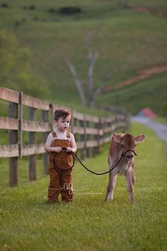 a little boy that is standing in the grass next to a cow on a leash