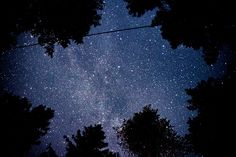 the night sky is filled with stars and trees