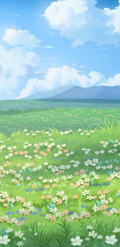 a field with flowers and grass under a blue sky