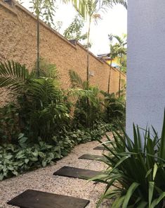 an outdoor walkway with stepping stones and plants on the side of a building next to a wall