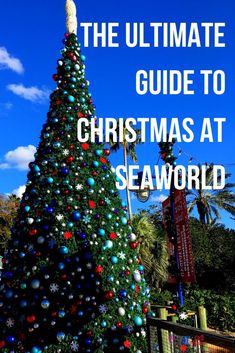 the ultimate guide to christmas at seaworld in florida, with text overlaying it