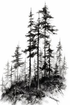 an ink drawing of some trees on a hill