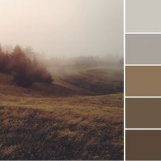 an open field with trees in the background and some fog on the ground below it