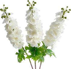 some white flowers are in a vase on a table