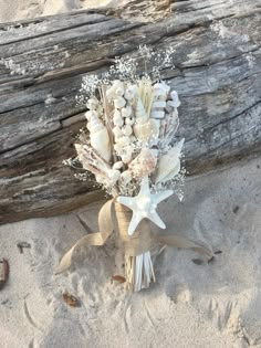 a bouquet of shells and starfish on the beach