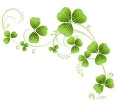 four leaf clovers on a white background with swirly vines and leaves in the corner