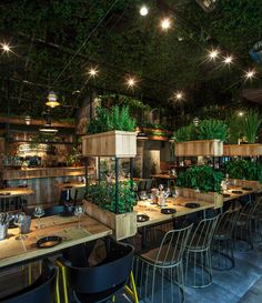 an indoor restaurant with tables and chairs covered in plants on the ceiling, along with hanging lights