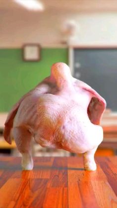 a fake chicken on a wooden table in front of a blackboard