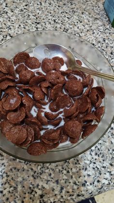 a glass bowl filled with cereal and milk