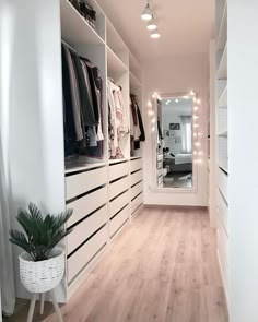 a walk - in closet with white drawers and lights on the walls, along with a plant