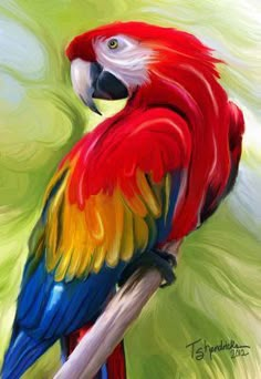 a painting of a colorful parrot perched on a branch