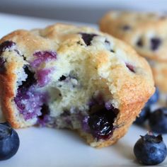 two blueberry muffins on a white plate