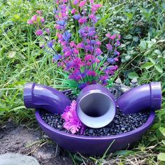 a purple planter filled with rocks and flowers